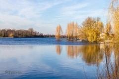 Ein Blick nach Norden über den See