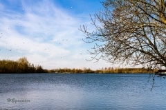 Ein Blick nach Norden über den See