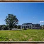 juni-2024-der-jahreszeiten-baum-robert-boschstr-Heinsberg-4273