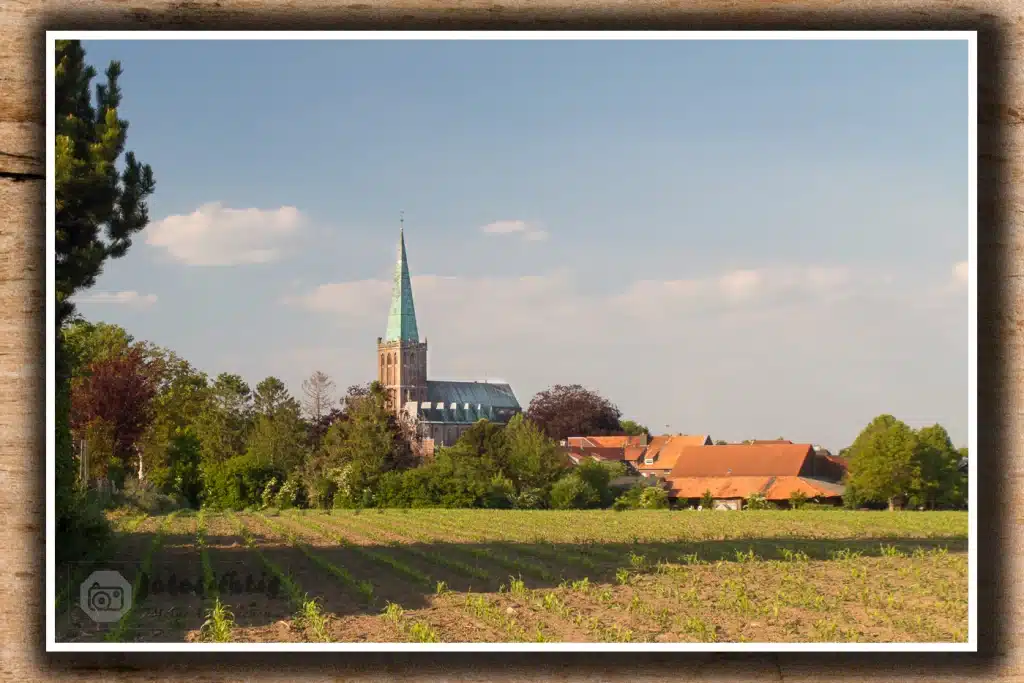 mai-2020-am-vossenweg-Heinsberg-3328