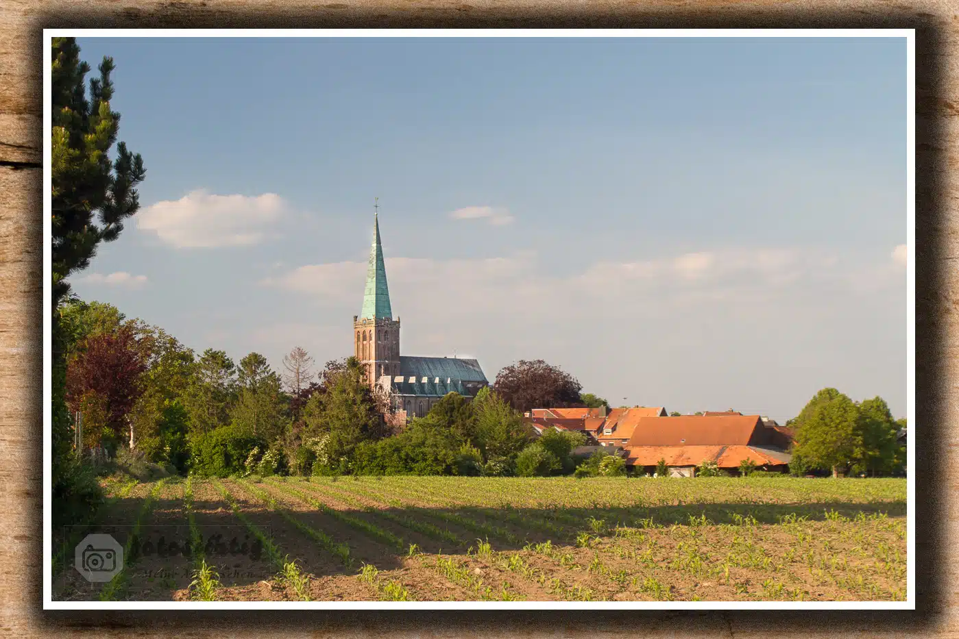 mai-2020-am-vossenweg-Heinsberg-3328