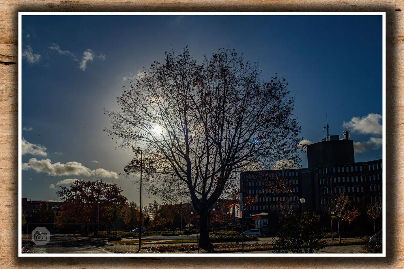 november-2021-Heinsberg-ein-baum-am-kreishaus-1099