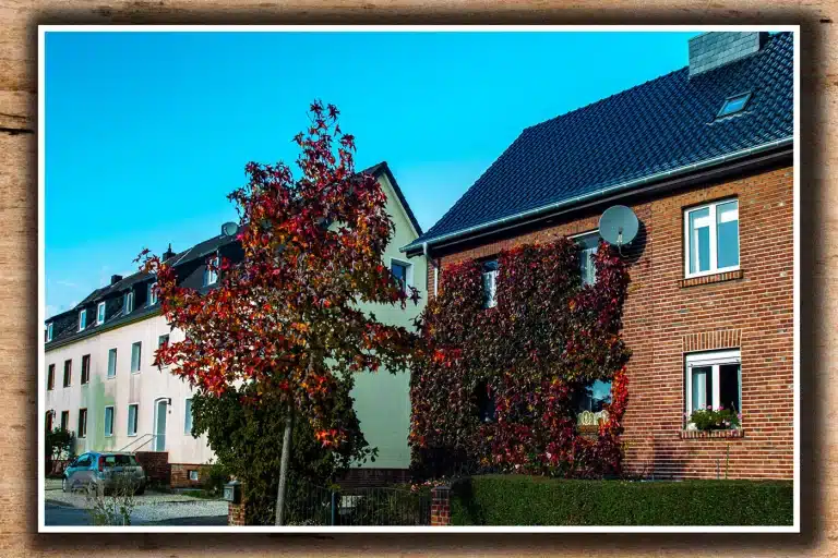 november-2021-Heinsberg-herbstlaub-oberbrucherstr-1128