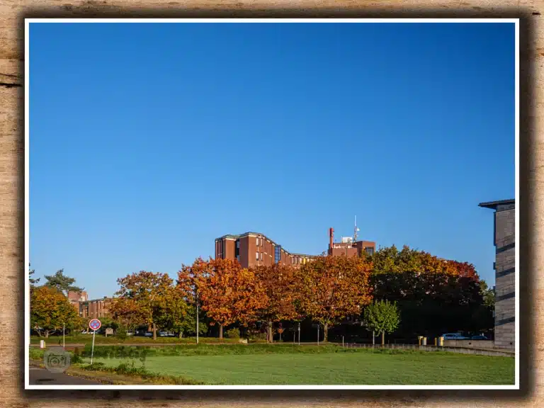 oktober-2024-Heinsberg-kreishaus-im-herbstlaub-5056