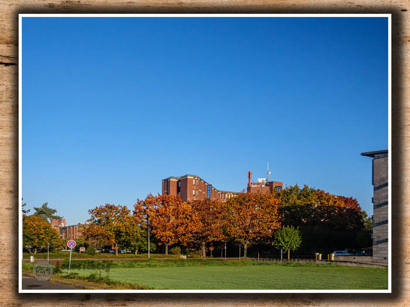 oktober-2024-Heinsberg-kreishaus-im-herbstlaub-5056